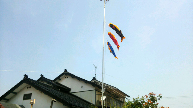 koinobori